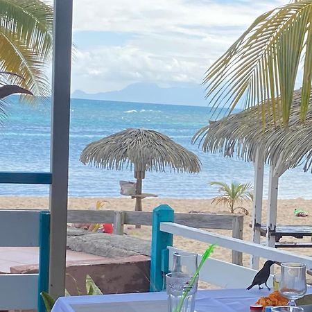 Le 35 Anse des Rochers Saint-Francois  Exterior foto
