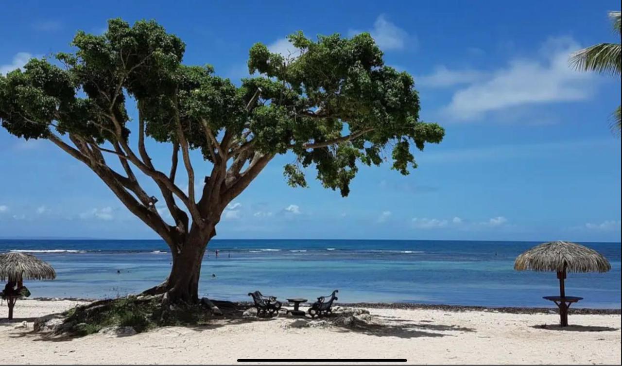 Le 35 Anse des Rochers Saint-Francois  Exterior foto