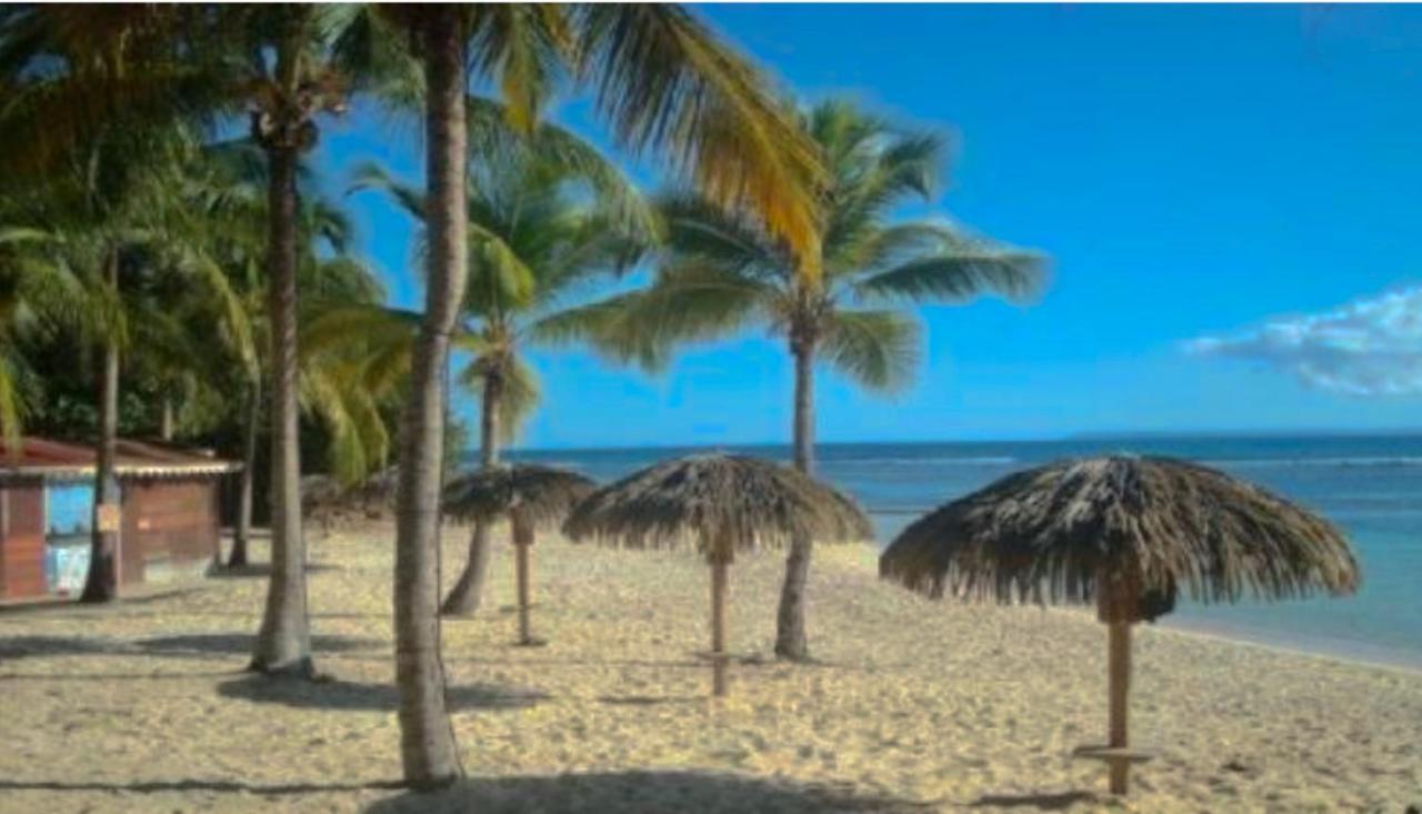 Le 35 Anse des Rochers Saint-Francois  Exterior foto